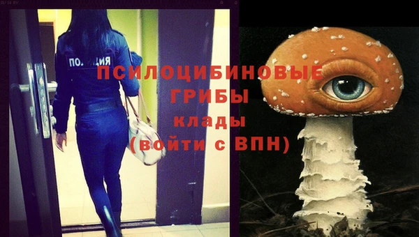 гидра Нефтегорск
