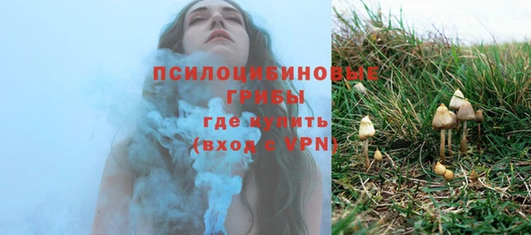сатива Протвино