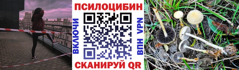 Псилоцибиновые грибы ЛСД  Ноябрьск 