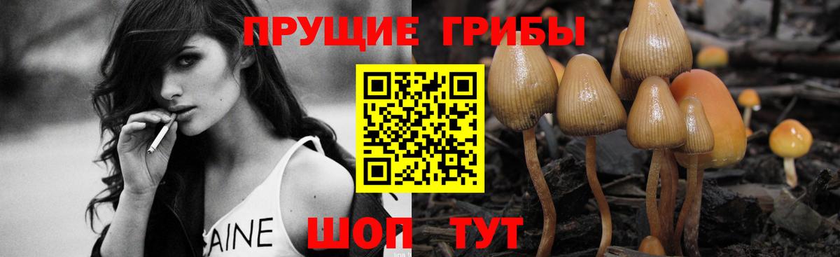 Галлюциногенные грибы ЛСД  Псилоцибиновые грибы Psilocybe  Вход с VPN  Ноябрьск 