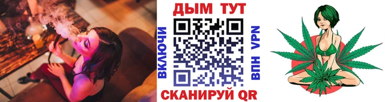 Конопля сатива  Ноябрьск 